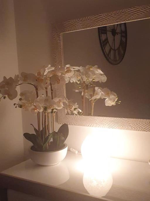 Orchidea Home Трієст Екстер'єр фото
